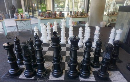 国际象棋意向图