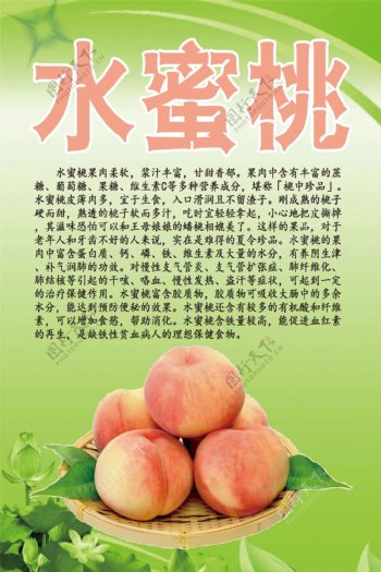 水果文化系列之水蜜桃