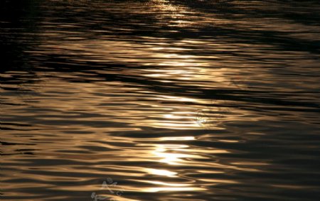 波光粼粼太阳照射水面水波