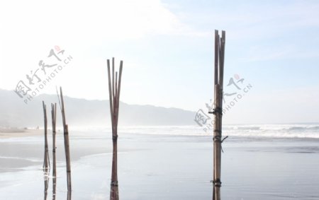 海滩木桩