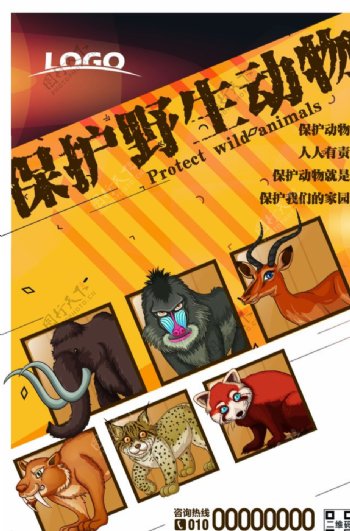 简约时尚保护野生动物海报