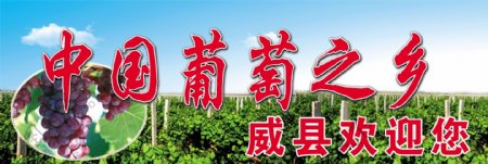 中国葡萄之乡