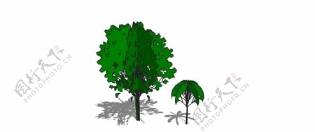 树木skp模型