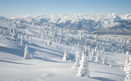 雪景