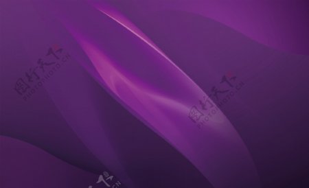 紫色卡片
