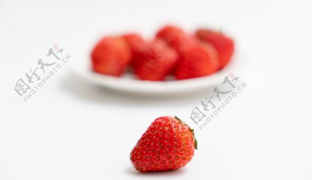 草莓