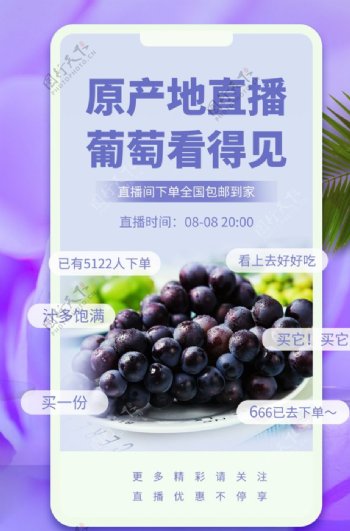 葡萄水果直播促销活动宣传海报