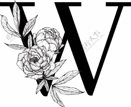 花卉装饰字母字母W