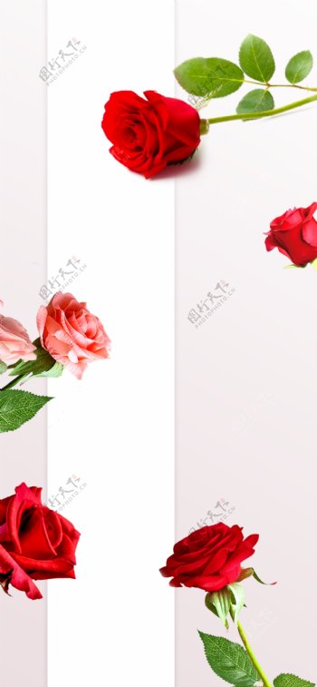 玫瑰花元素海报