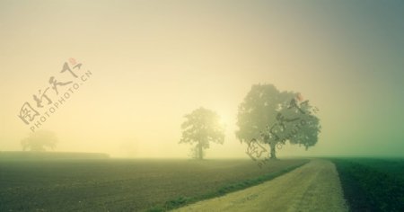 风景