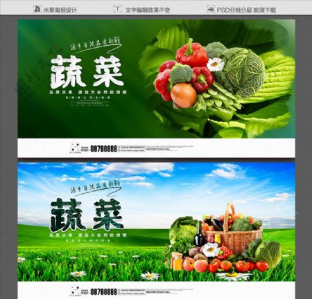 蔬菜蔬菜展板蔬菜海报图片