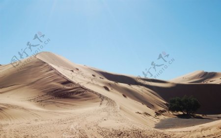 沙漠山峰自然生态背景素材图片