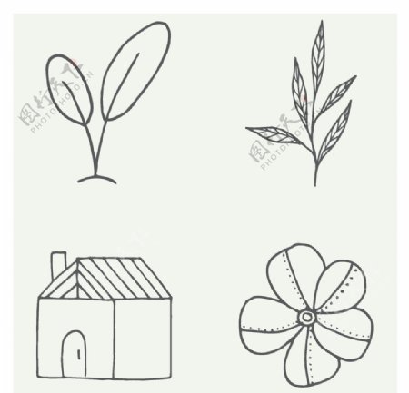 手绘植物图片
