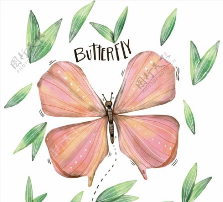 粉色蝴蝶和树叶图片