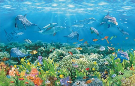 海豚海草奇幻的海底世界装饰图图片
