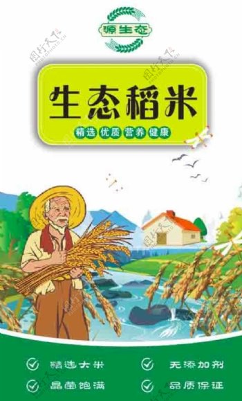 生态稻米图片