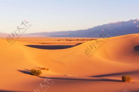 日暮下的沙漠美景图片