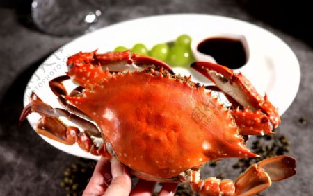 大闸蟹海鲜美食食材背景素材图片