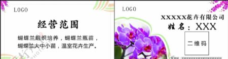花卉蝴蝶兰名片图片