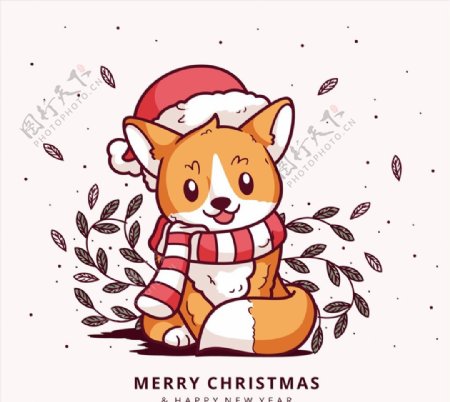 圣诞装扮狐狸图片