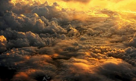云层之上的夕阳美景一片金黄的云图片