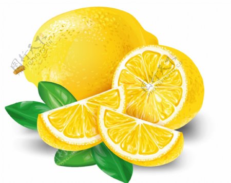 免抠手绘柠檬图片