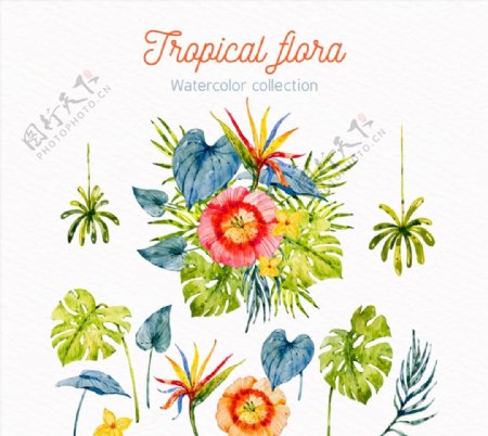 水彩绘热带花草图片