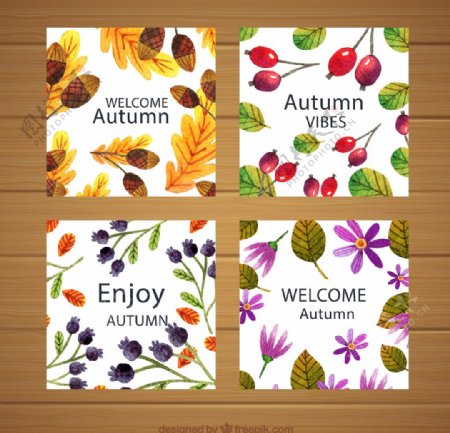 秋季花草卡片图片