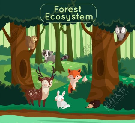 创意森林生态系统图片