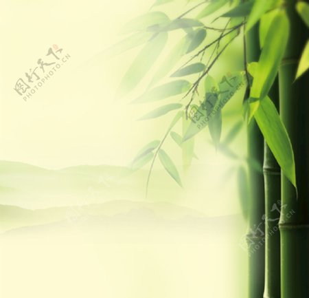 中式竹子主图图片