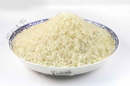 大米珍珠米图片