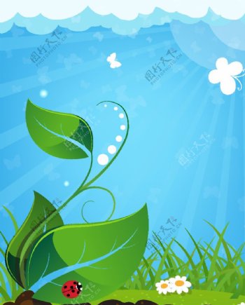 环保绿色植物图片