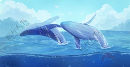 鲸鱼海洋清新插画卡通背景素材图片
