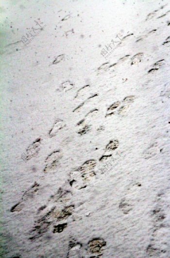 雪踩出的脚印图片