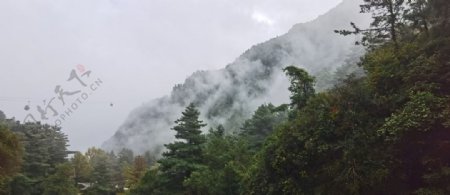 云南森林图片