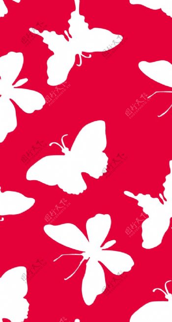 蝴蝶印花图片