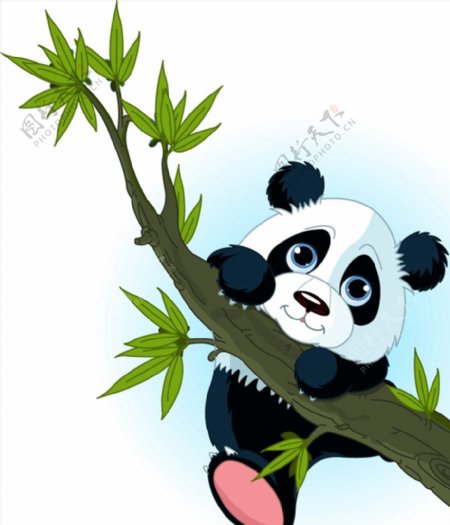 爬树枝的熊猫图片