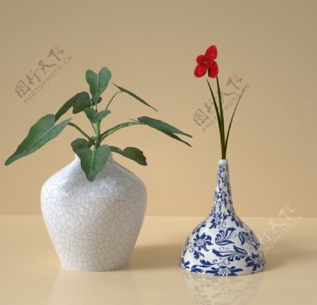 花瓶盆栽图片
