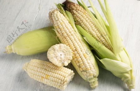 白玉米摄影图片