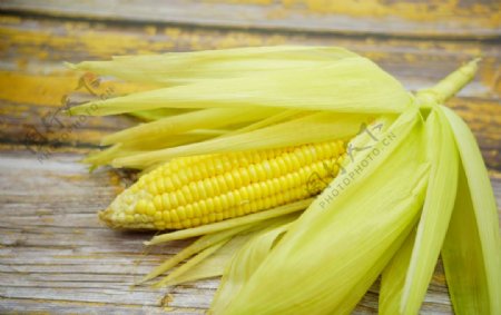 单个玉米摄影图图片