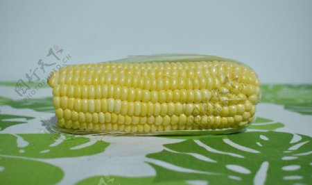 玉米图片