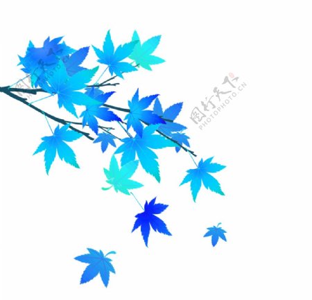 蓝色叶子装饰元素图片
