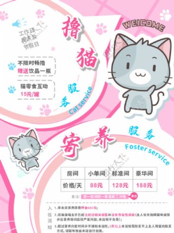 宠物店猫咪生活馆粉色价格海报图片