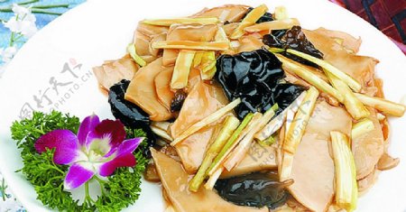 豫菜韭黄白灵菇图片