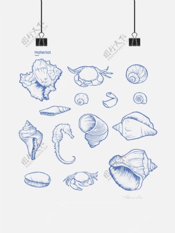 贝壳螃蟹海马图片