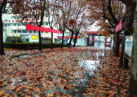 雨天的校园图片