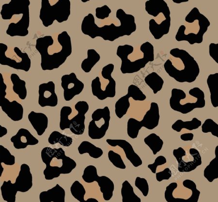 豹纹数码印花图片