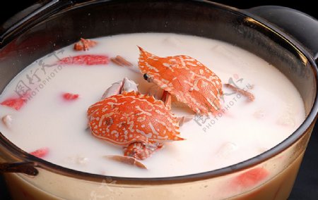 老豆腐兰花蟹图片