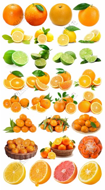 橙子免抠图汇总图片