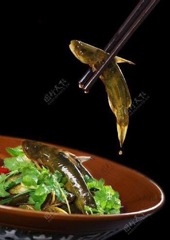 海鲜黄辣丁三角蜂图片